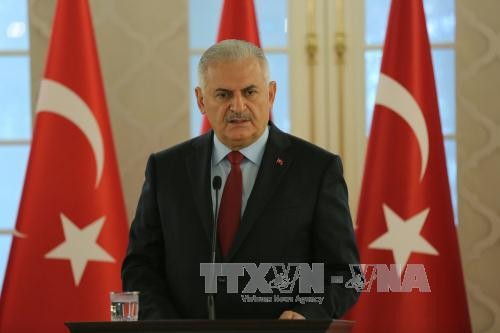 Turkey forms state of emergency coordination committee - ảnh 1
